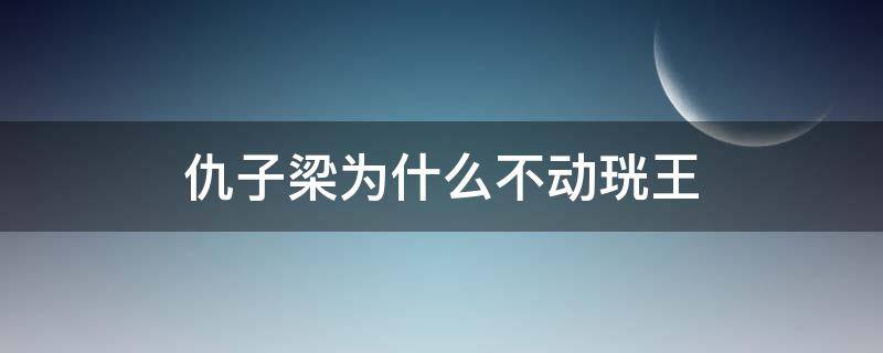 仇子梁为什么不动珖王（仇子梁为什么不动光王）