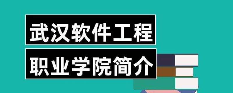 武汉软件工程职业学院在哪 武汉软件工程职业学院在哪个街道