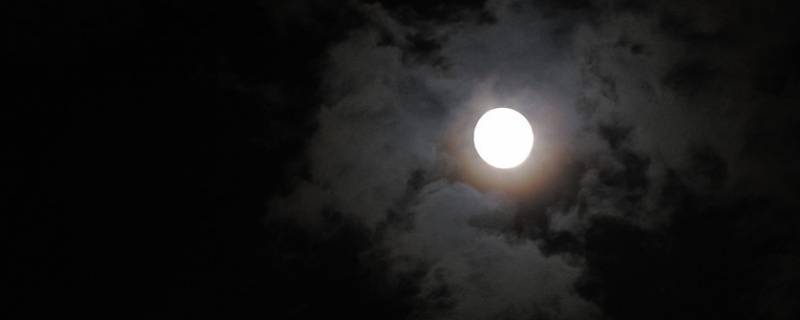 我说今晚的月亮很美你说是的含义（我说今晚的月亮很美你说是的歌词含义）