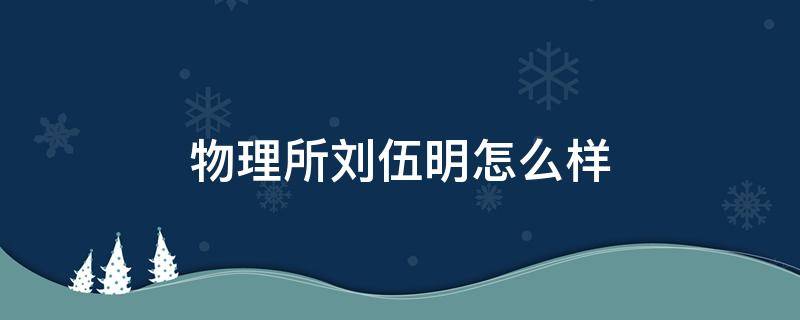 物理所刘伍明怎么样（物理所 所长）