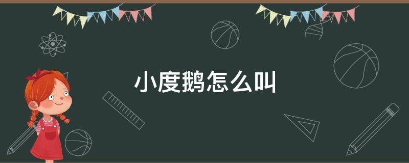 小顾小顾后面接什么 小顾小顾后面接什么四个字