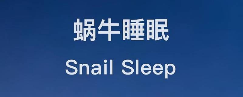 蜗牛睡眠的精选鼾声是全部吗 蜗牛睡眠打鼾分贝准吗