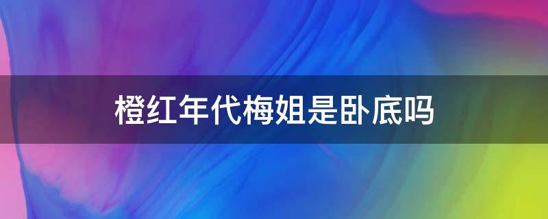 橙红年代梅姐是卧底吗（橙红年代梅姐背后的老大是谁）