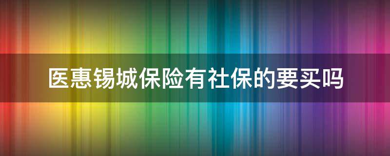 医惠锡城保险有社保的要买吗 医惠锡城保险