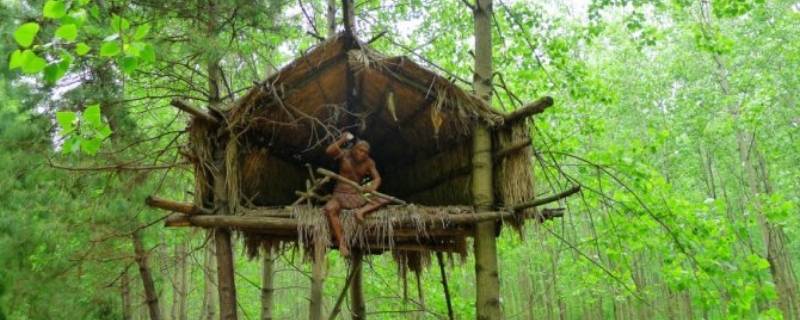 有巢氏构木为巢下一句是什么（有巢氏构木为巢的译文）