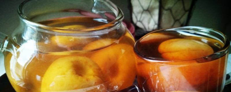 朴堤有梅友酒是什么意思 朴堤有梅友酒多少钱一瓶