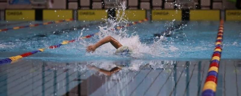 抬头蛙一般能游多远（抬头蛙游泳）