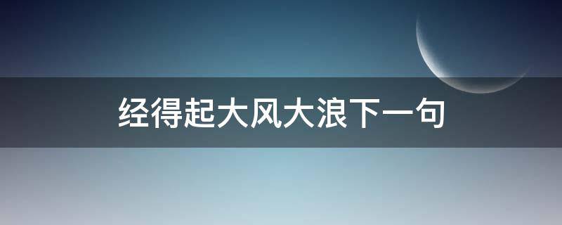 经得起大风大浪下一句（经得起大风大浪的意思）