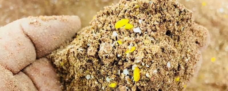 鲫鱼窝料配方如何制作 最简单的鲫鱼窝料配方