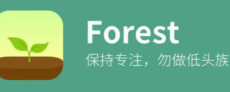 theforest怎么改中文（游戏theforest怎么调中文）