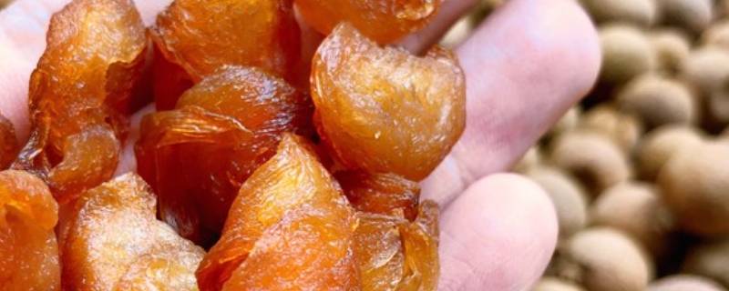 龙眼干怎么晒才好吃 龙眼干怎么晒干