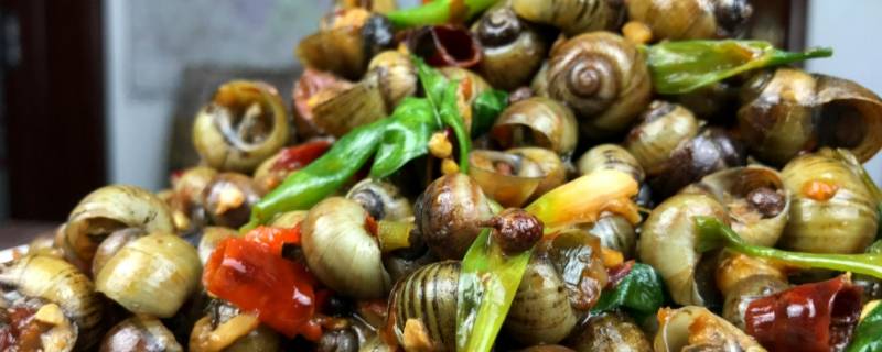 喝螺怎么做好吃 喝螺怎么做好吃视频大全