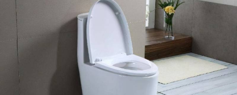 厕所堵了水都满上来了怎么办（厕所堵住水满了）