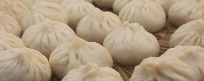 茄子素包子怎么做才好吃 茄子素包子怎么做才好吃窍门