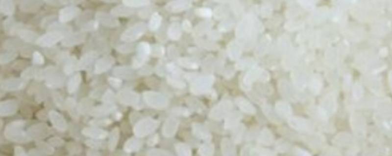 米中虫子如何除掉（如何去除米中的米虫）