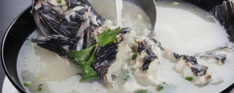 怎么烧黑鱼汤不腥又好喝(怎样做黑鱼汤好喝又不腥)