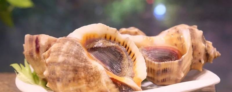 海螺怎么吃法家庭吃法（海螺怎么吃法家庭吃法,白灼大虾怎么做）