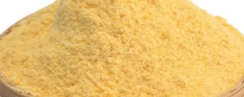 玉米面煎饼怎么和面（做玉米饼怎么和面）