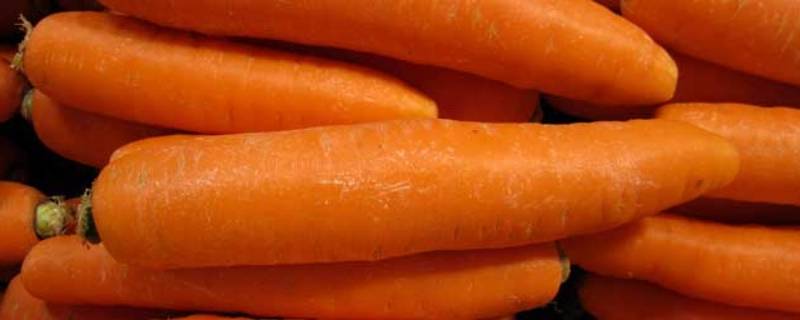胡萝卜如何切菱形 胡萝卜如何切菱形片