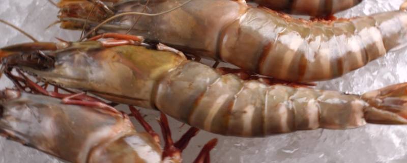 冰冻虾怎么做好吃又简单 冰冻的虾怎么做才好吃