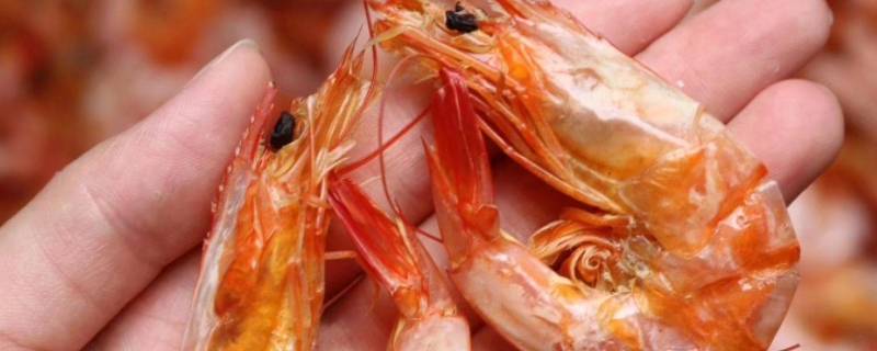 带壳大虾干怎么做好吃 带壳大虾干怎么做好吃又简单