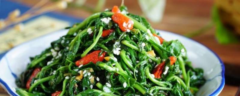 枸杞芽怎么做才好吃 枸杞嫩芽怎么做才好吃