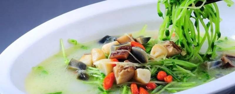 黄豆苗怎么做才好吃 黄豆苗的做法