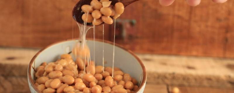 纳豆怎么做 纳豆怎么做发酵