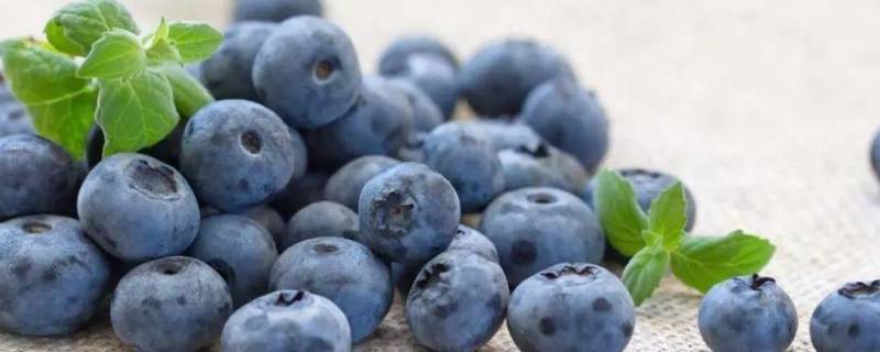 蓝莓怎么吃好吃又简单（蓝莓怎么吃好吃?）