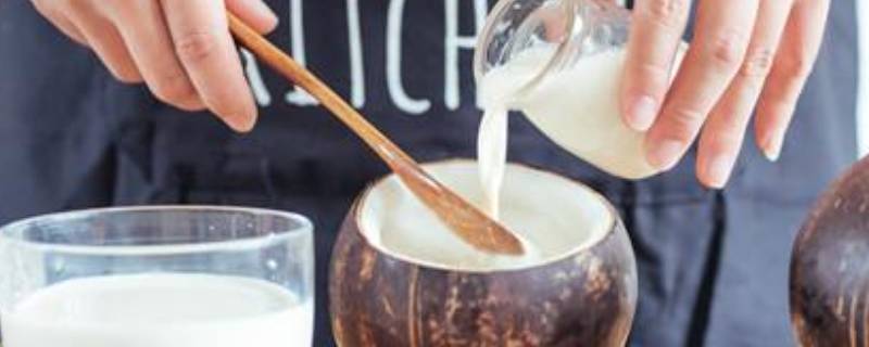 椰子粉怎么调制椰奶 椰子粉怎么调制椰浆