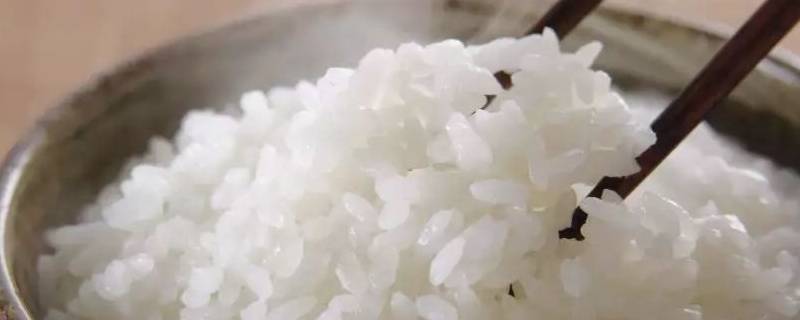 米饭怎么加热 米饭怎么加热能像第一次那样