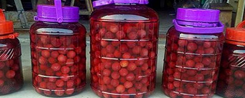 泡杨梅酒的制作方法和比例 杨梅泡酒的做法及比例