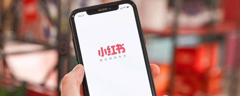 小红书举报已被处理是什么意思（小红书里 举报已被处理是什么）