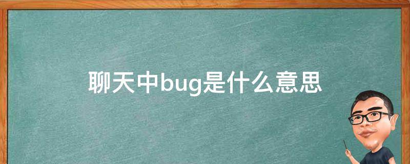 聊天中bug是什么意思（BUG 什么意思）