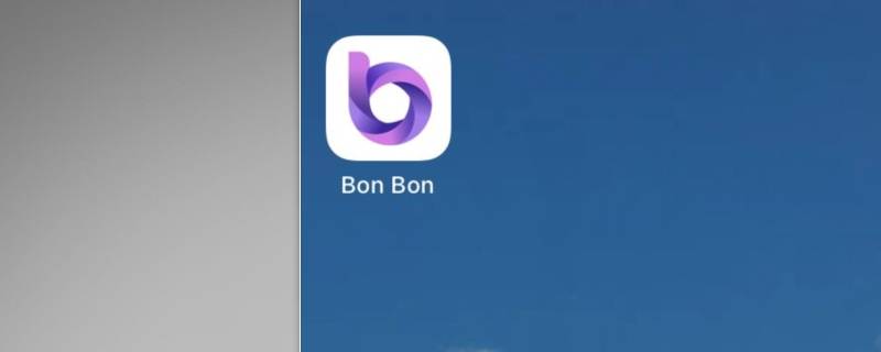 bonbon是什么软件 BonBon