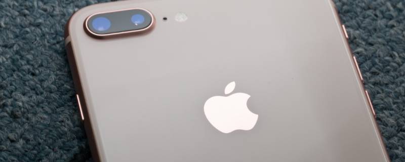 苹果替用面容是干嘛的（苹果替用面容是什么）