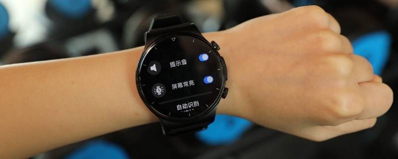 gt2pro支持鸿蒙系统吗(gt2pro升级鸿蒙有什么用)