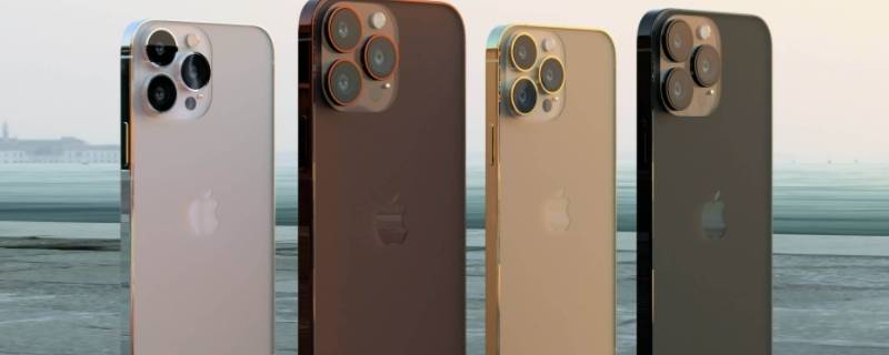 苹果买单不买双是什么意思（苹果是买双还是买单）