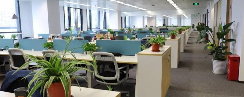 公司资质是指什么（公司资质是啥）