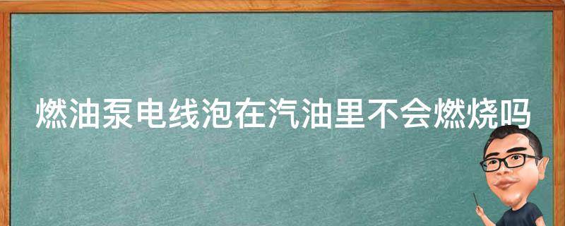 燃油泵电线泡在汽油里不会燃烧吗 汽油泵电线裸露在汽油里有危险么