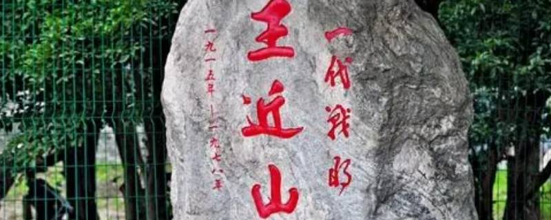 李云龙的原型是哪个（李云龙的历史原型）