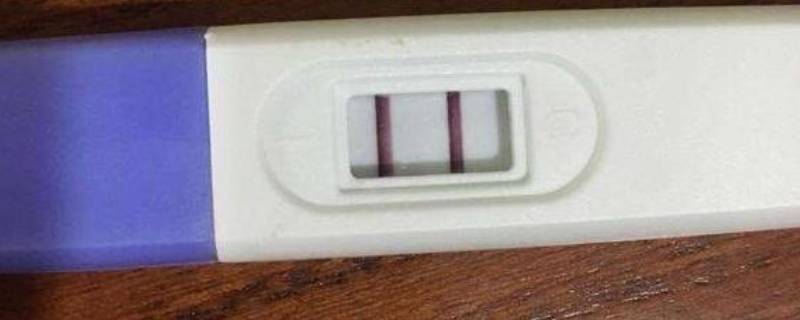 验孕棒怎么看结果 可丽蓝验孕棒怎么看结果