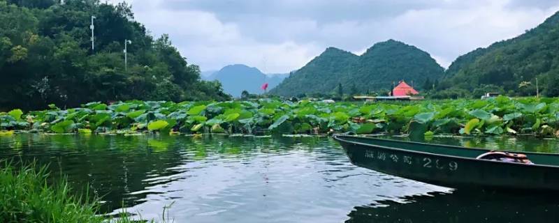 文山属于红河州吗（红河和文山）