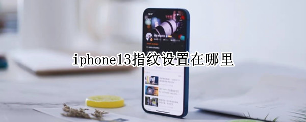 iphone13指纹设置在哪里（iPhone13怎么设置指纹）