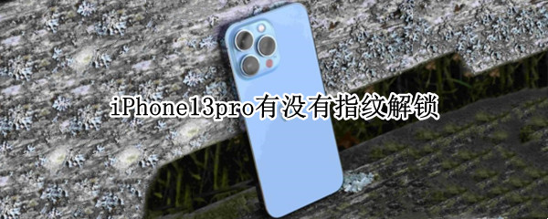 iPhone13pro有没有指纹解锁 iphone13pro有指纹锁吗