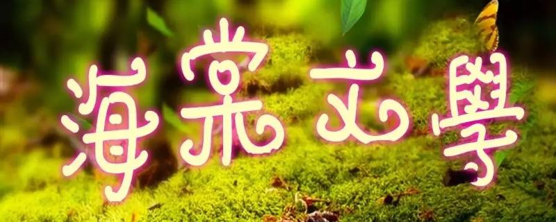 shoto是什么(shoto是什么主播)