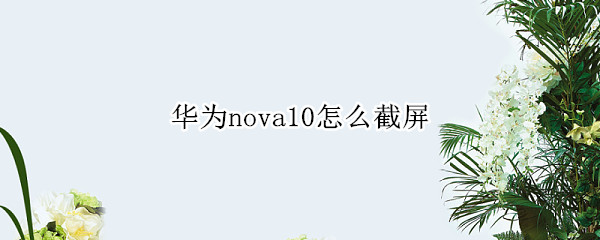 华为nova10怎么截屏（华为nova怎样截屏）