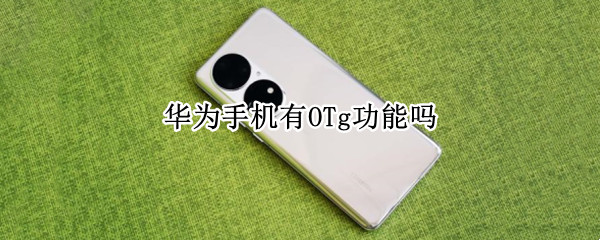 华为手机有OTg功能吗（华为手机具备OTG功能吗）