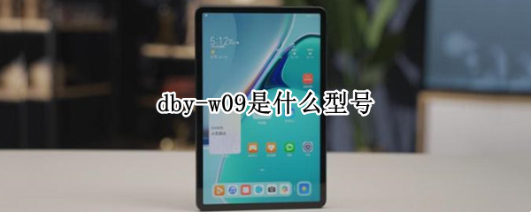 dby-w09是什么型号 dby-w09是什么型号英寸?