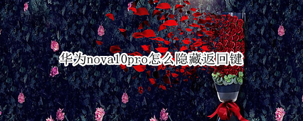 华为nova10pro怎么隐藏返回键 华为nova8pro怎么隐藏返回键